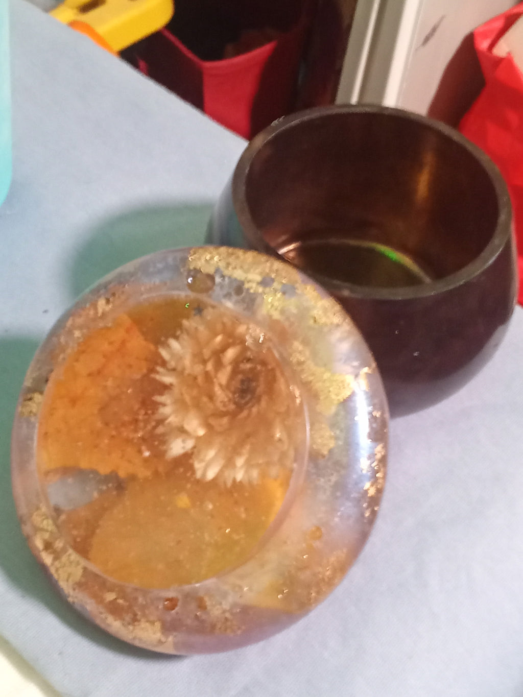 mushroom secrete container